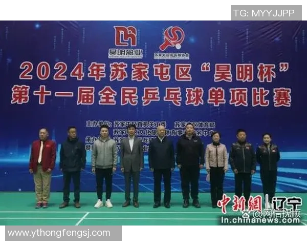 南京乒乓球队的速度之美与技艺探秘：一场乒乓球的精彩旅程